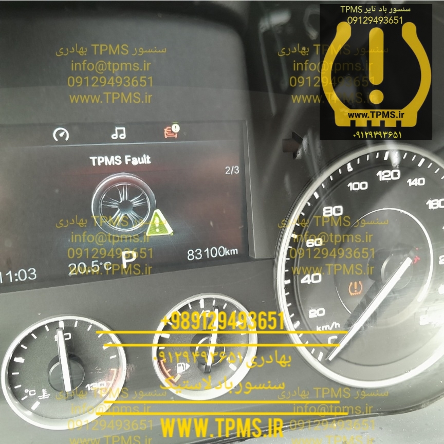 خطای TPMS بورگوارد